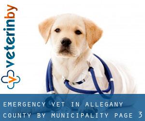 Emergency Vet in Allegany County by municipality - page 3