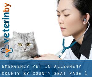 Emergency Vet in Allegheny County by county seat - page 1