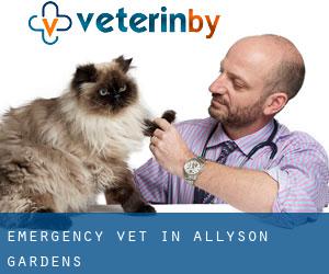Emergency Vet in Allyson Gardens