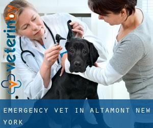 Emergency Vet in Altamont (New York)