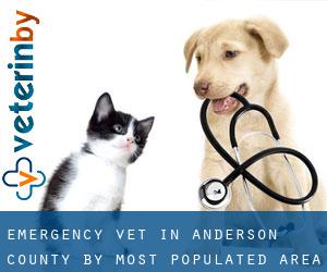 Emergency Vet in Anderson County by most populated area - page 1