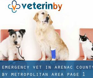 Emergency Vet in Arenac County by metropolitan area - page 1