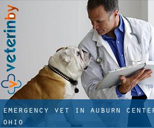 Emergency Vet in Auburn Center (Ohio)