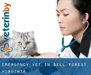Emergency Vet in Bell Forest (Virginia)