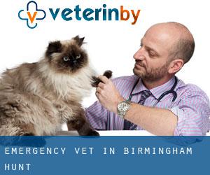 Emergency Vet in Birmingham Hunt