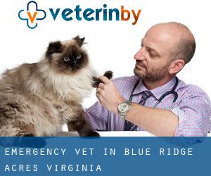 Emergency Vet in Blue Ridge Acres (Virginia)