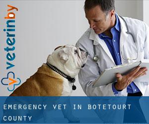 Emergency Vet in Botetourt County