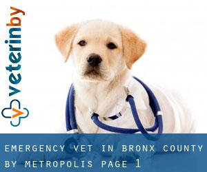 Emergency Vet in Bronx County by metropolis - page 1