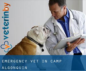 Emergency Vet in Camp Algonquin