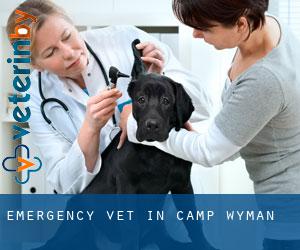 Emergency Vet in Camp Wyman