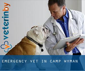 Emergency Vet in Camp Wyman
