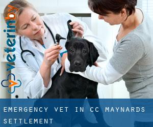 Emergency Vet in CC Maynards Settlement