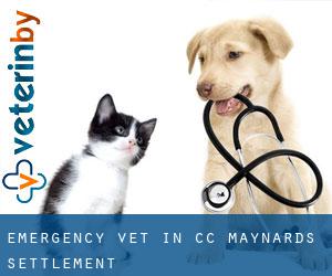 Emergency Vet in CC Maynards Settlement
