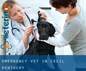Emergency Vet in Cecil (Kentucky)