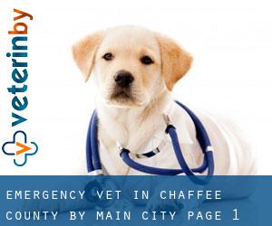 Emergency Vet in Chaffee County by main city - page 1