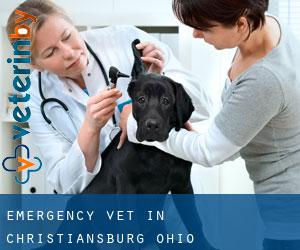 Emergency Vet in Christiansburg (Ohio)