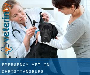 Emergency Vet in Christiansburg