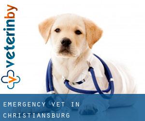 Emergency Vet in Christiansburg