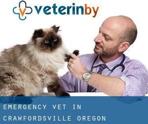 Emergency Vet in Crawfordsville (Oregon)