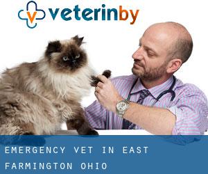 Emergency Vet in East Farmington (Ohio)
