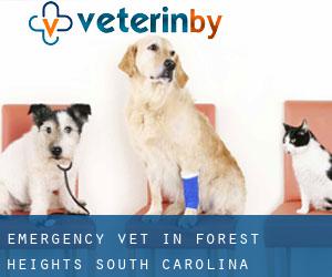 Emergency Vet in Forest Heights (South Carolina)