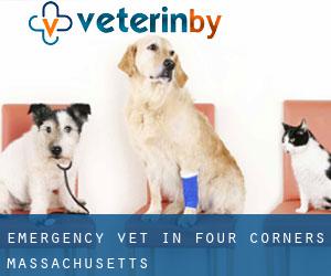Emergency Vet in Four Corners (Massachusetts)