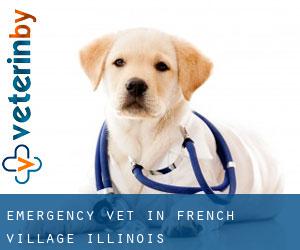 Emergency Vet in French Village (Illinois)