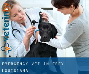 Emergency Vet in Frey (Louisiana)