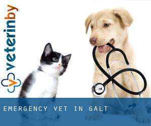 Emergency Vet in Galt