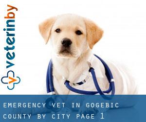 Emergency Vet in Gogebic County by city - page 1