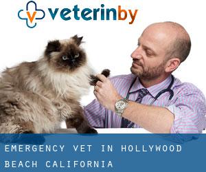 Emergency Vet in Hollywood Beach (California)