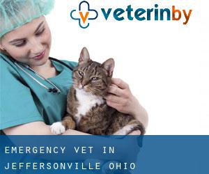 Emergency Vet in Jeffersonville (Ohio)