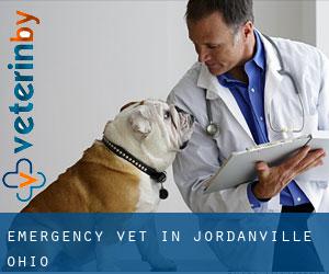 Emergency Vet in Jordanville (Ohio)