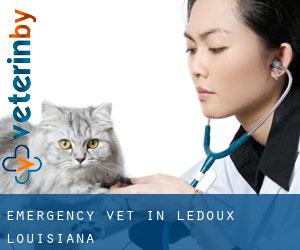 Emergency Vet in Ledoux (Louisiana)