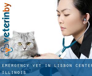 Emergency Vet in Lisbon Center (Illinois)