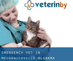 Emergency Vet in Mechanicsville (Alabama)