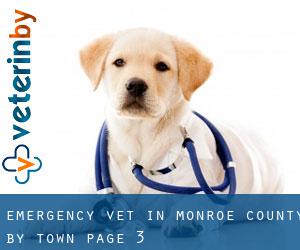 Emergency Vet in Monroe County by town - page 3
