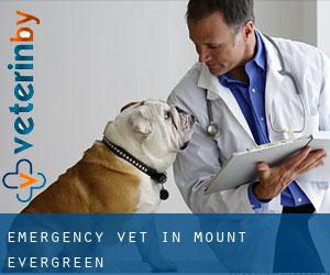 Emergency Vet in Mount Evergreen