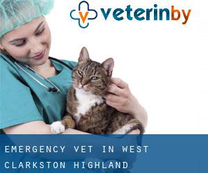 Emergency Vet in West Clarkston-Highland
