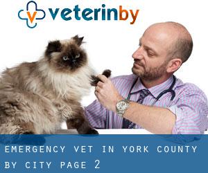 Emergency Vet in York County by city - page 2