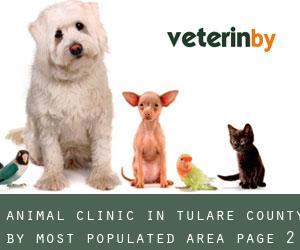 Animal Clinic in Tulare County by most populated area - page 2