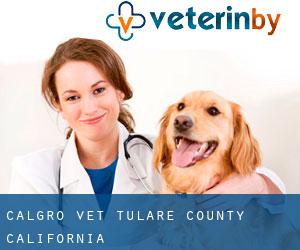 Calgro vet (Tulare County, California)
