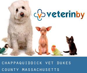 Chappaquiddick vet (Dukes County, Massachusetts)