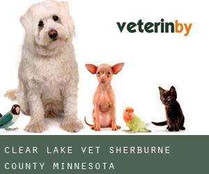 Clear Lake vet (Sherburne County, Minnesota)