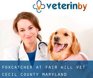 Foxcatcher at Fair Hill vet (Cecil County, Maryland)