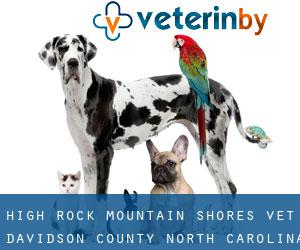 High Rock Mountain Shores vet (Davidson County, North Carolina)