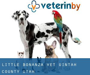 Little Bonanza vet (Uintah County, Utah)