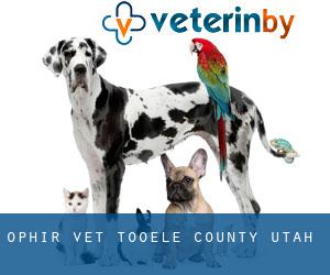Ophir vet (Tooele County, Utah)