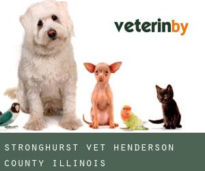 Stronghurst vet (Henderson County, Illinois)