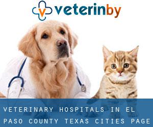 veterinary hospitals in El Paso County Texas (Cities) - page 1